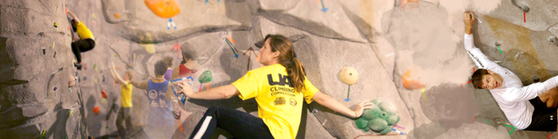 Climbing Wall